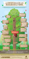 /album/fotogaleria/infografia-bosques-jpg/